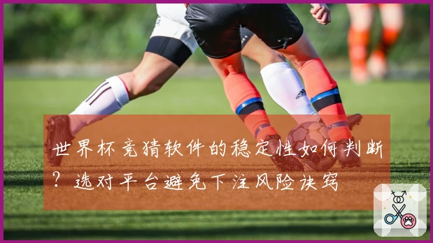 世界杯竞猜软件的稳定性如何判断?选对平台避免下注风险诀窍