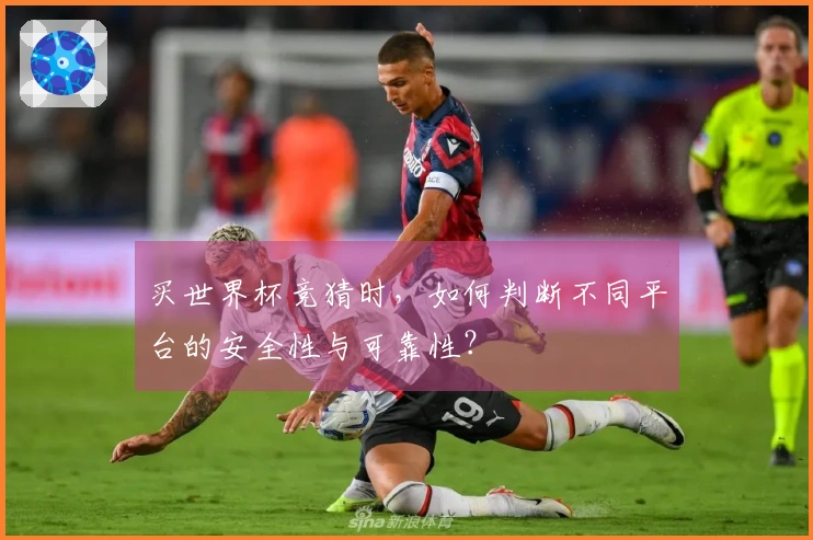 买世界杯竞猜时，如何判断不同平台的安全性与可靠性？
