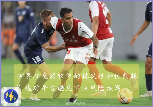 世界杯竞猜软件的稳定性如何判断？选对平台避免下注风险诀窍