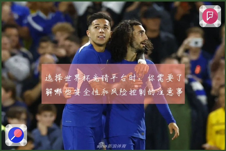 选择世界杯竞猜平台时，你需要了解哪些安全性和风险控制的注意事项