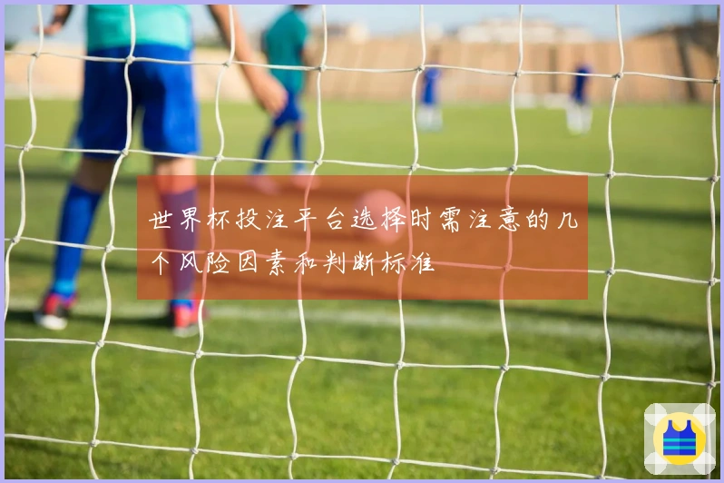 世界杯投注平台选择时需注意的几个风险因素和判断标准