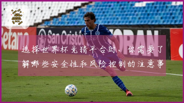 选择世界杯竞猜平台时，你需要了解哪些安全性和风险控制的注意事项